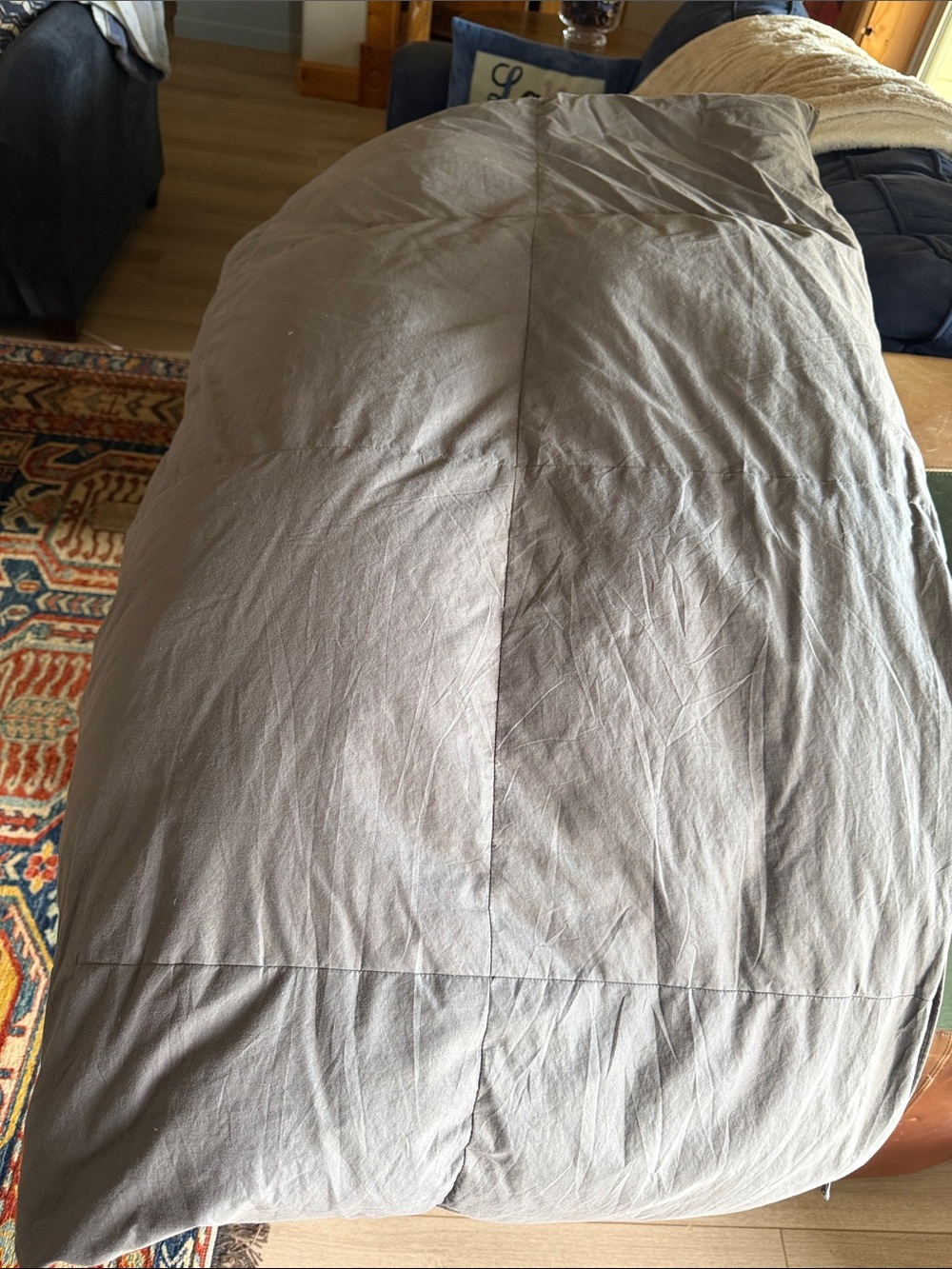 Neutral Gray Cotton Goose Down Comforter